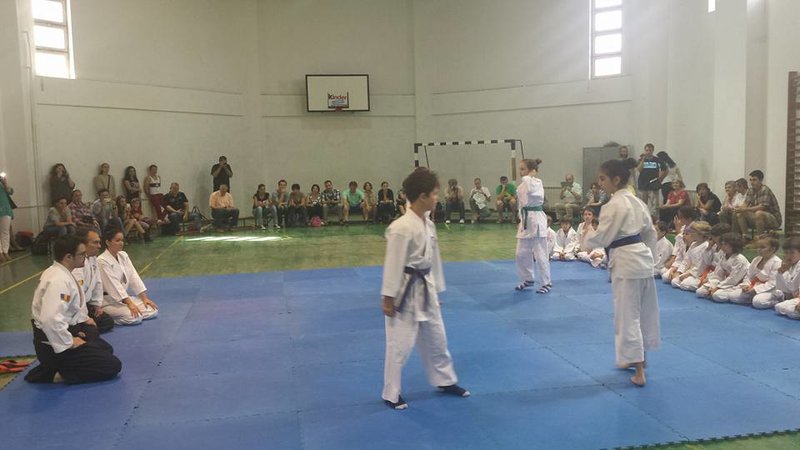 Clubul Sportiv Dinamic Aikido- Arte martiale
