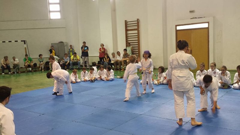 Clubul Sportiv Dinamic Aikido- Arte martiale