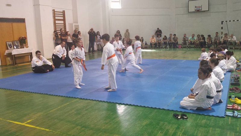 Clubul Sportiv Dinamic Aikido- Arte martiale